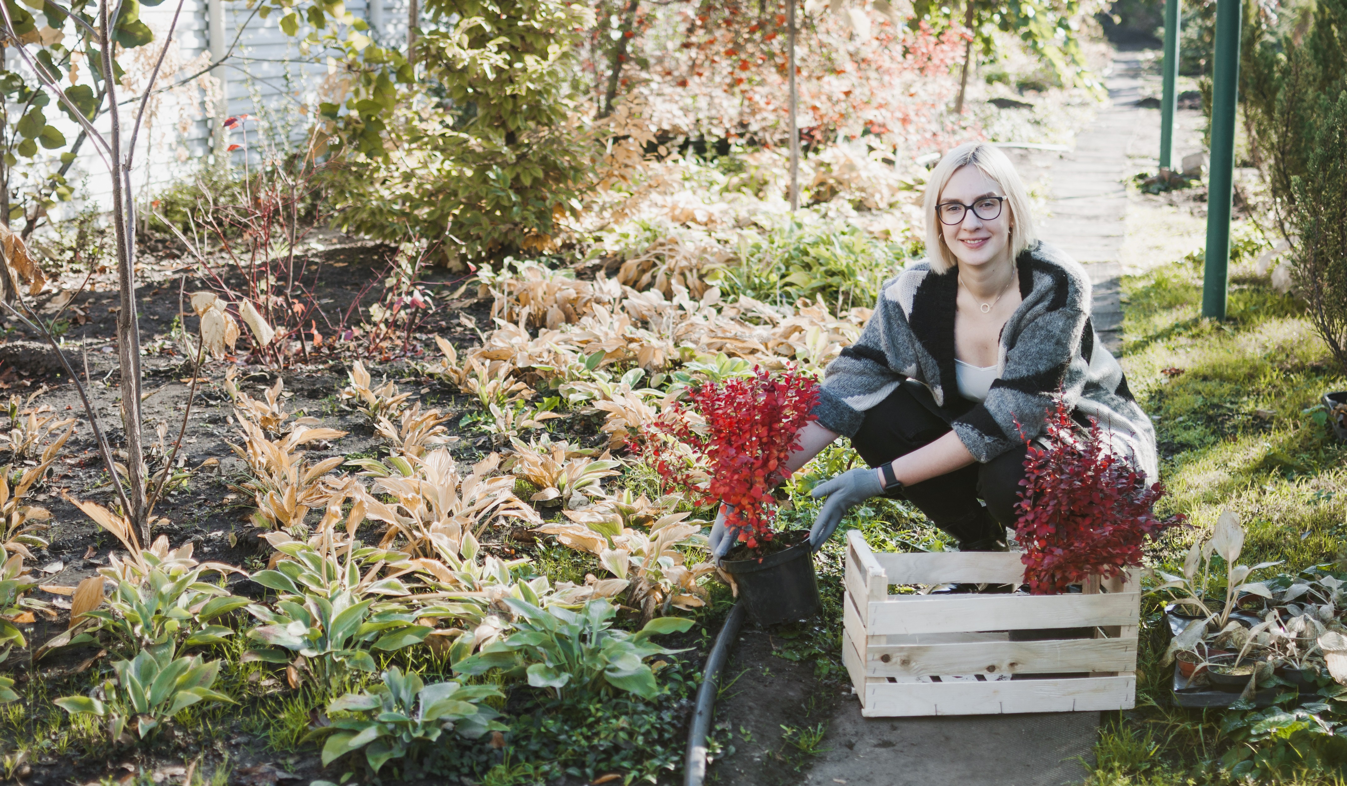 Gartenpflege im Raum Heidelberg: Was ein gepflegter Garten wirklich braucht