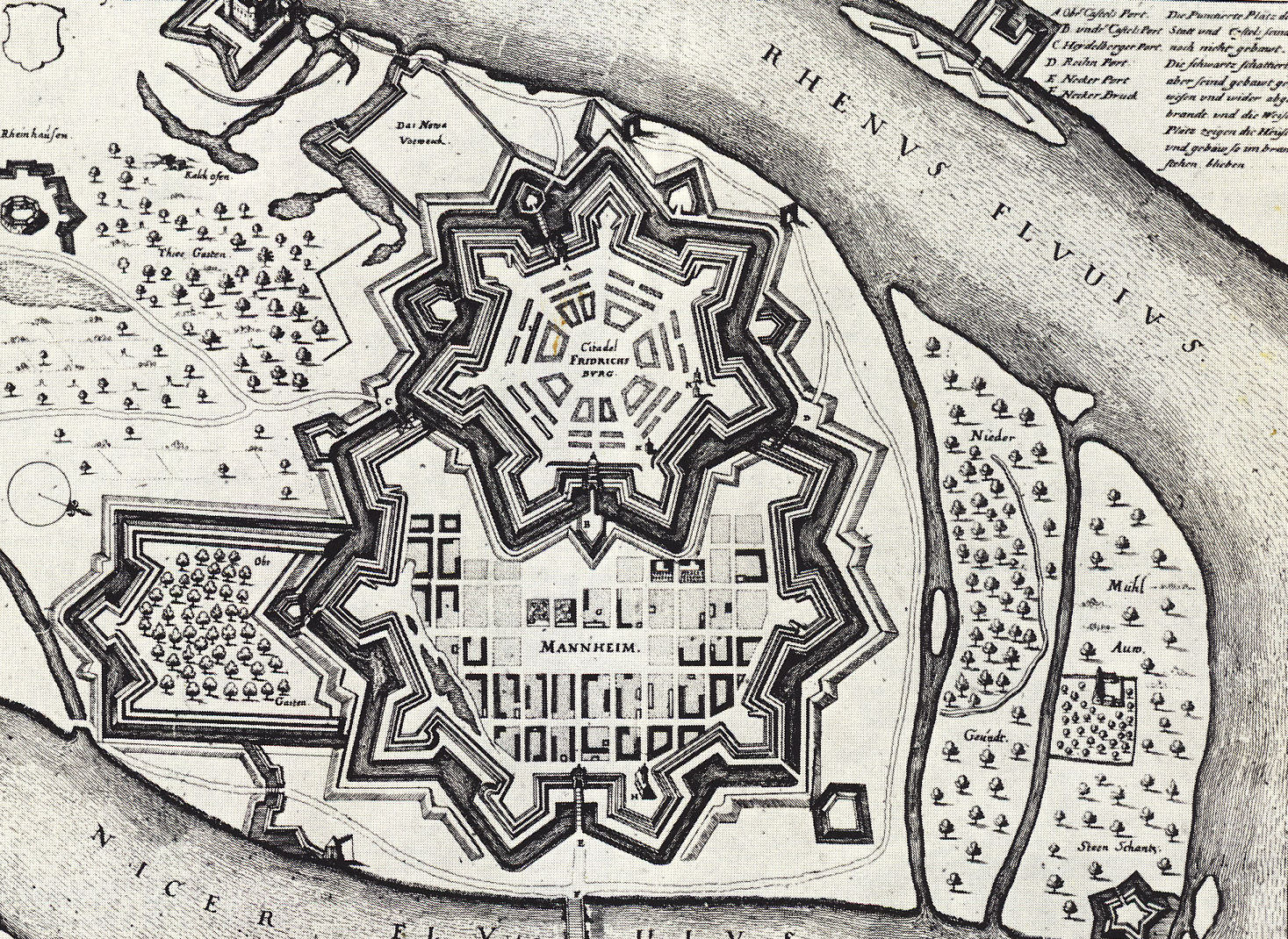Die Gründung von Mannheim: Die Gründung der Stadt und ihre ersten Jahre