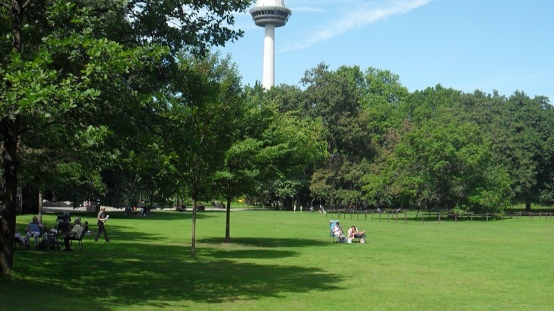 Luisenpark Mannheim – grüne Parkanlage mit Teich, Bäumen und Erholungsbereichen