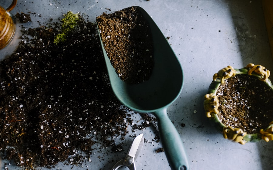 Galabau Mannheim: Professionelle Garten- und Landschaftsgestaltung vom Experten