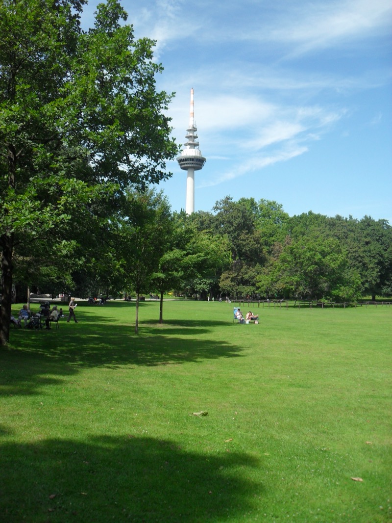 Luisenpark Mannheim – weitläufige Parkanlage mit Teich, Bäumen und Grünflächen